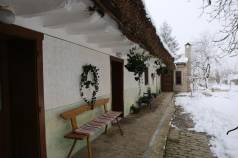 Mini IMG 6156